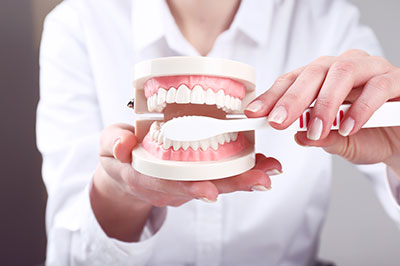 A person holding a toothbrush over an open mouth model with teeth, set against a blurred background.